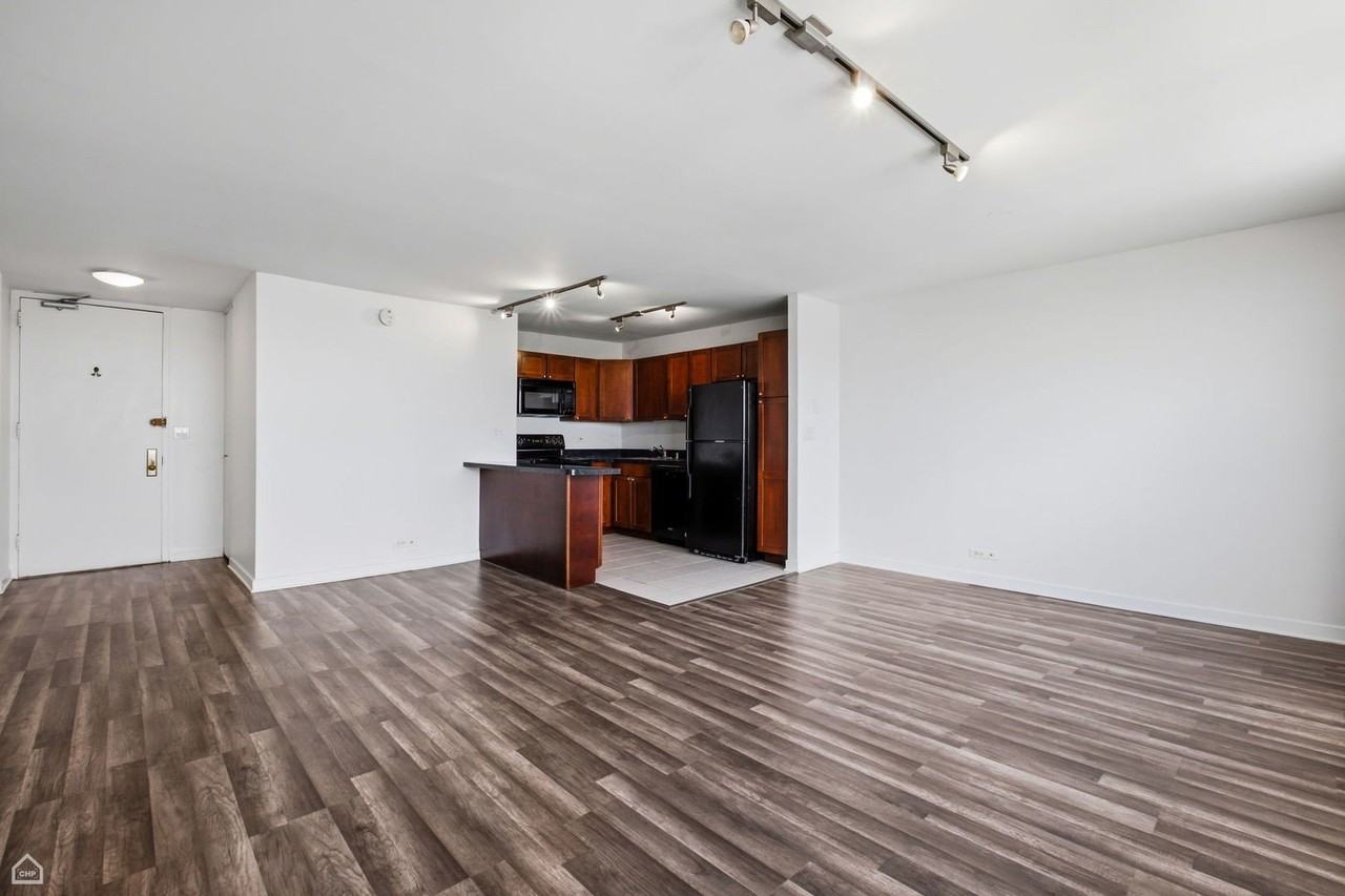 655 W Irving Park Rd #4008 - Photo 3 of 11