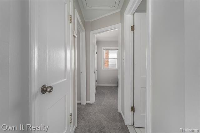 3335 Williams St - Photo 5 of 25