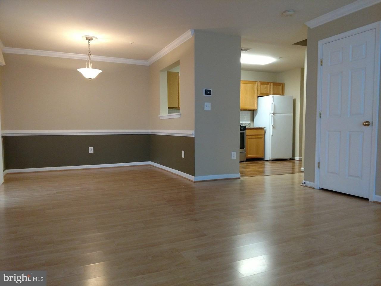 7702 Haynes Point Way #2008 - Photo 7 of 14