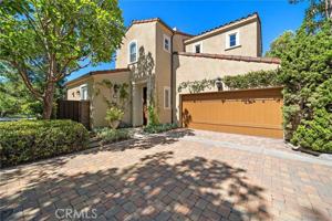 featured image of 61 Shade Tree
