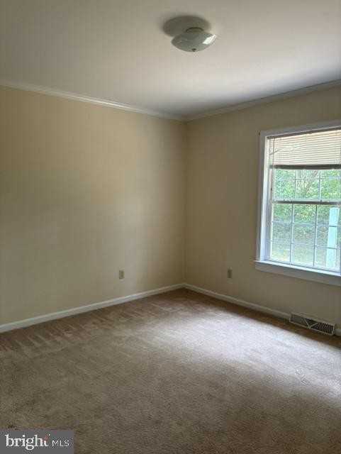 43985 Sandy Bottom Rd - Photo 5 of 6