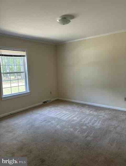 43985 Sandy Bottom Rd - Photo 6 of 6