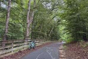 featured image of Mill Rd
