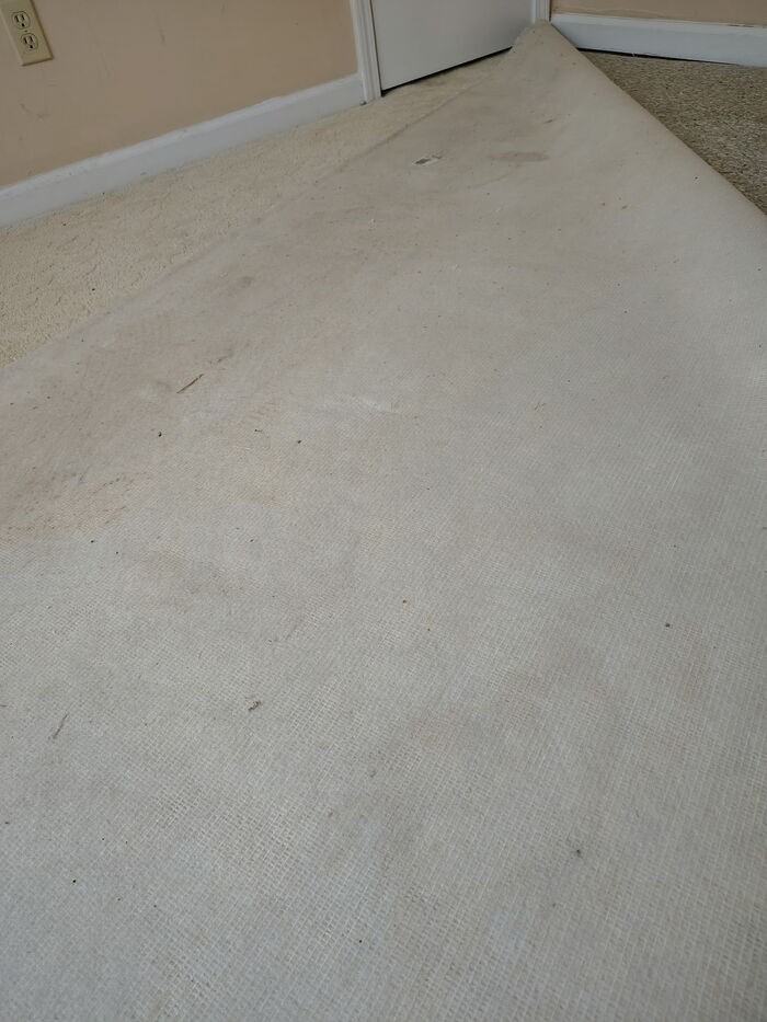 477 Southern Way - Photo 6 of 6