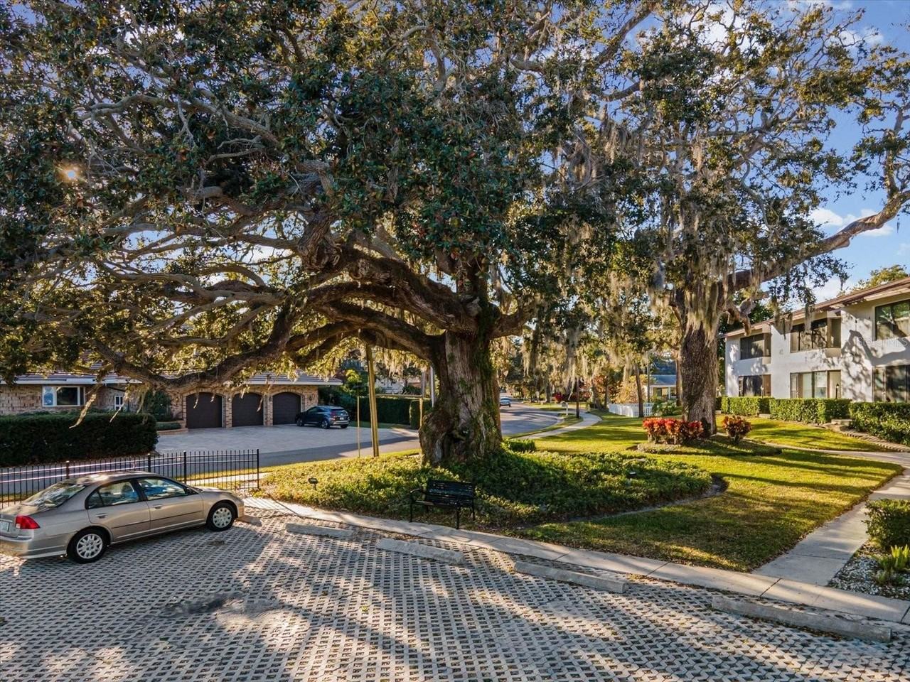 413 S Bayshore Blvd - Photo 3 of 22