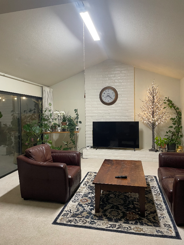 1915 Discovery Village Ln - Photo 5 of 18