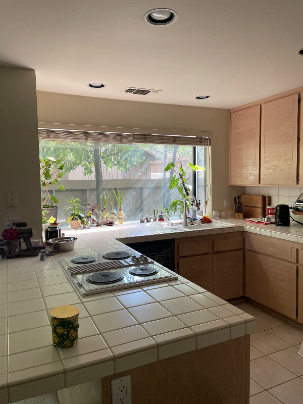 1915 Discovery Village Ln - Photo 6 of 18