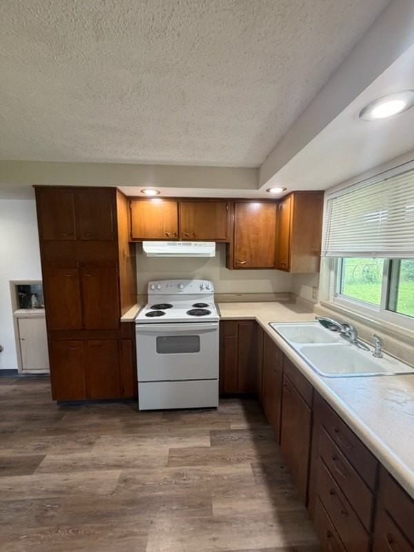 1389 Mapleridge Dr - Photo 3 of 17