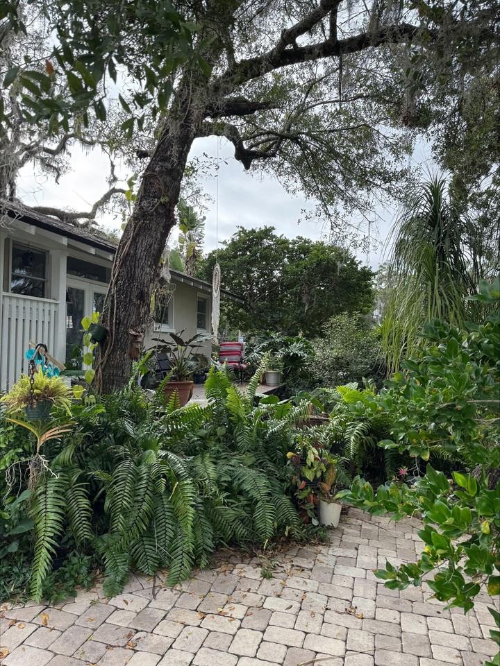 S Park Ave - Photo 4 of 18