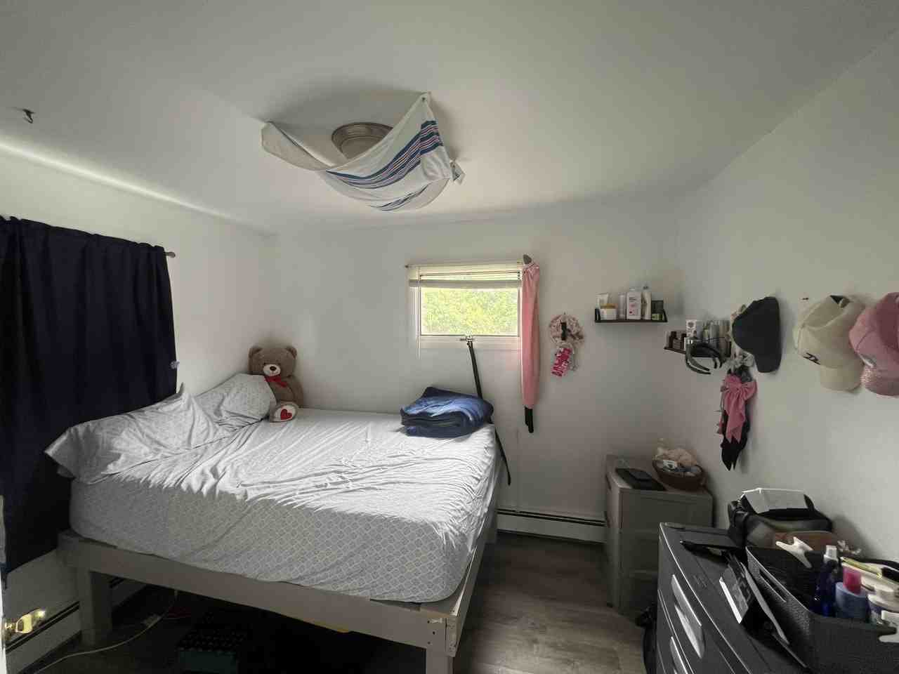 Pine hill - Photo 6 of 7