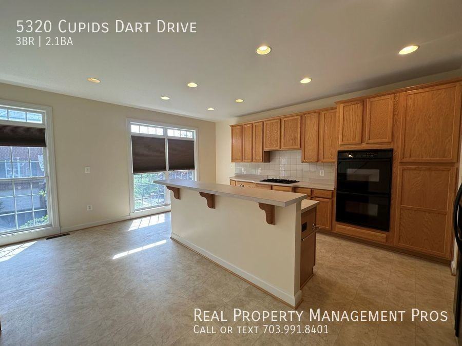 5320 Cupids Dart Dr - Photo 3 of 24