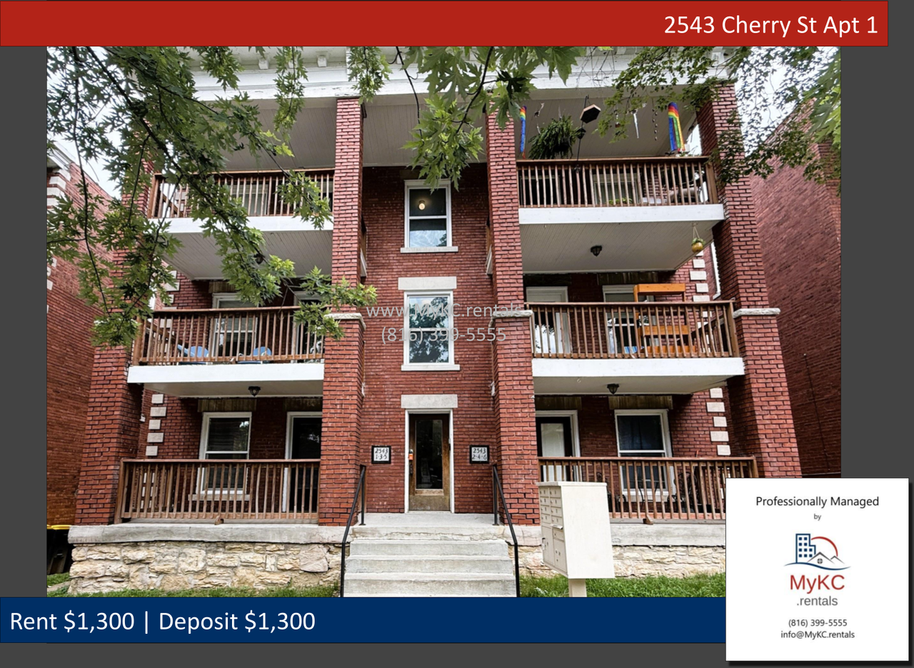2543 Cherry St Apt 1 - Photo 3 of 17