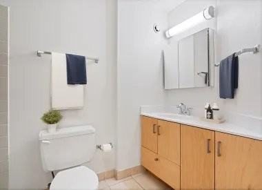 740 N Dearborn St - Photo 5 of 12