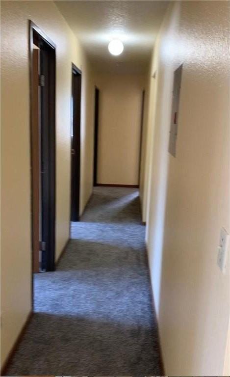 1450 5th Ave S #202 - Photo 3 of 8
