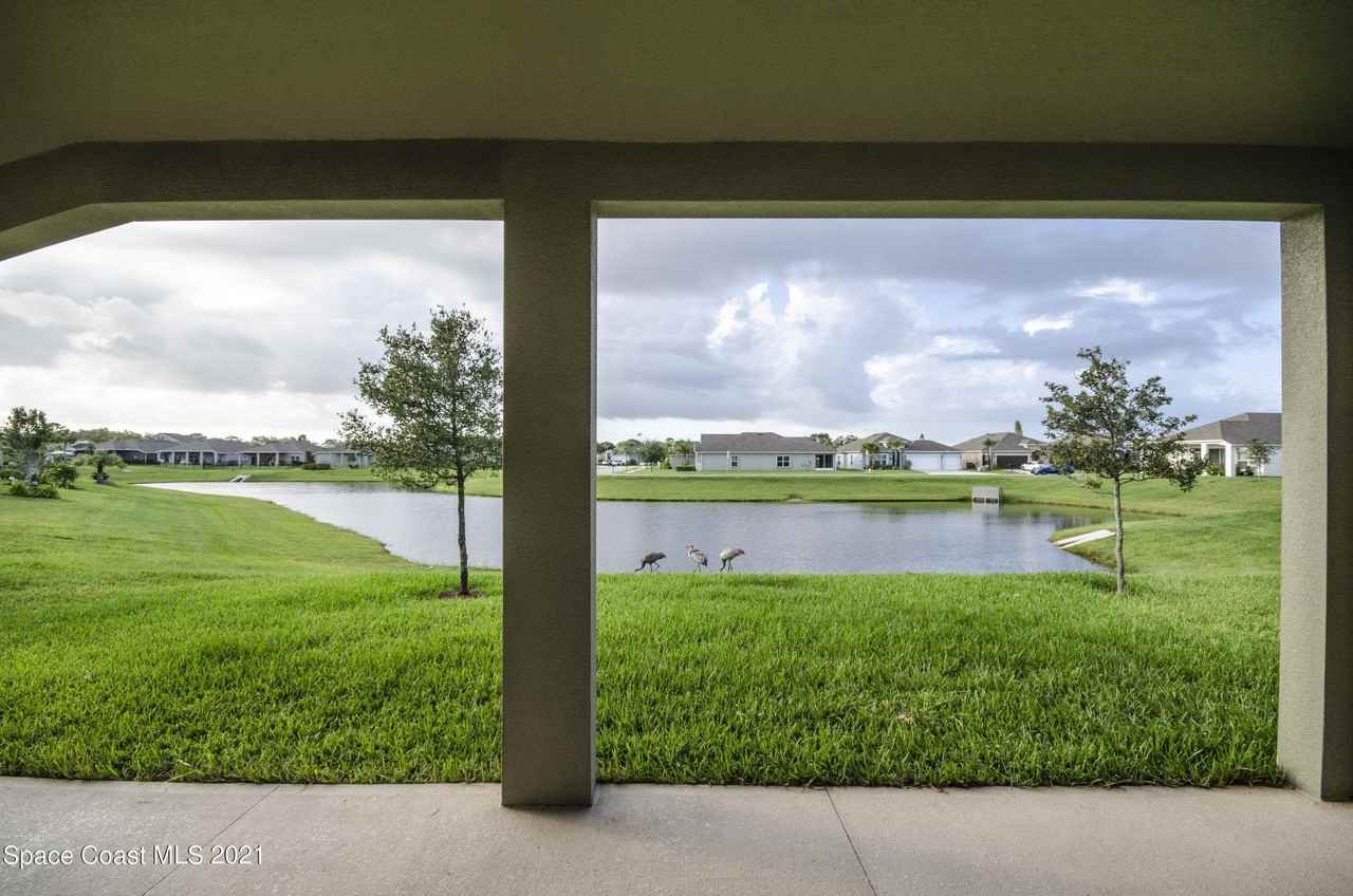4110 Sage Brush Cir - Photo 4 of 21