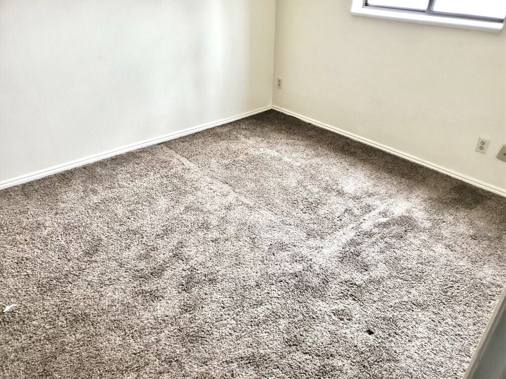 230 Bridger Dr #2DOWN - Photo 4 of 16