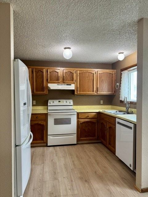 344 Westchester Sq N #B - Photo 5 of 13