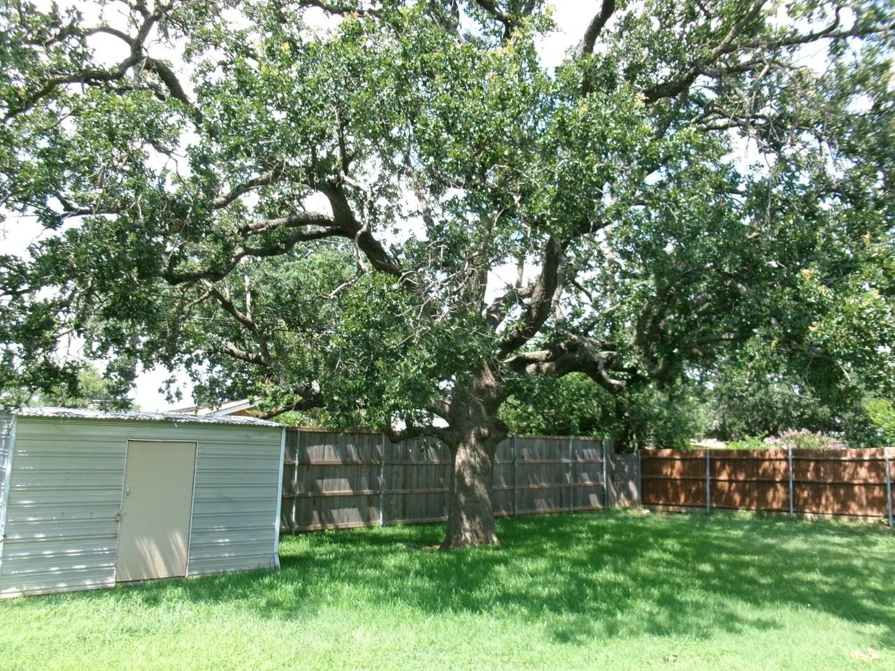 1610 Toplea Dr - Photo 4 of 25