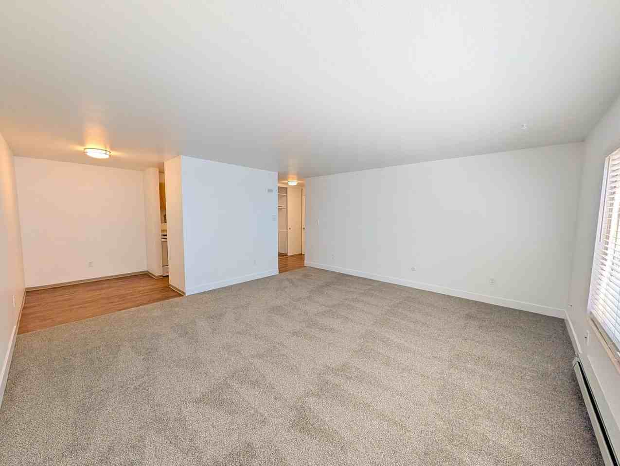 Tiki Apartments - Photo 6 of 20