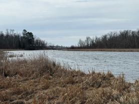 5625 Rice Lake Rd Ne - Photo 1 of 1