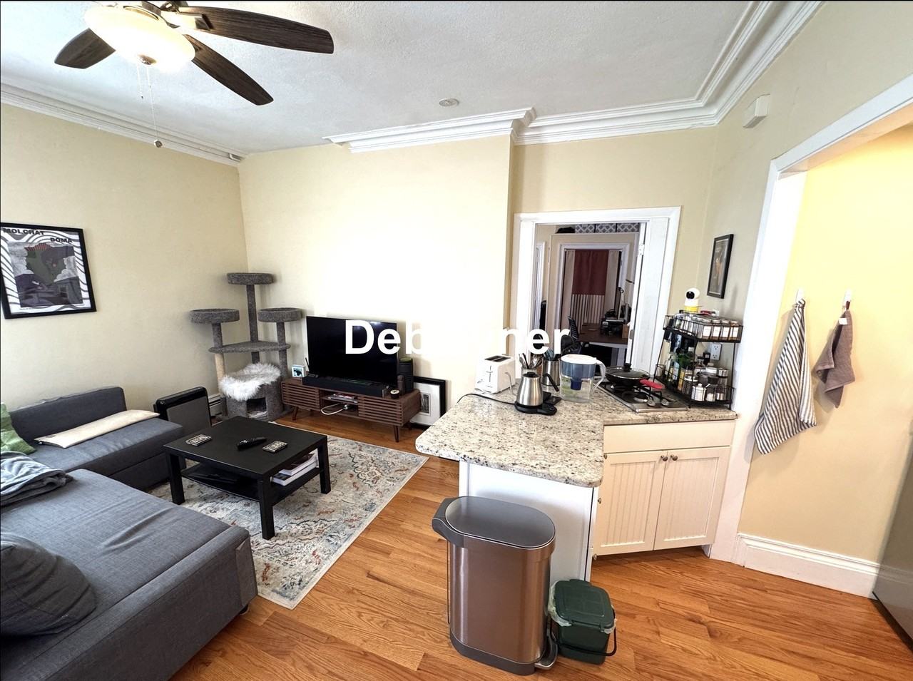 Walden St #1F - Photo 2 of 14