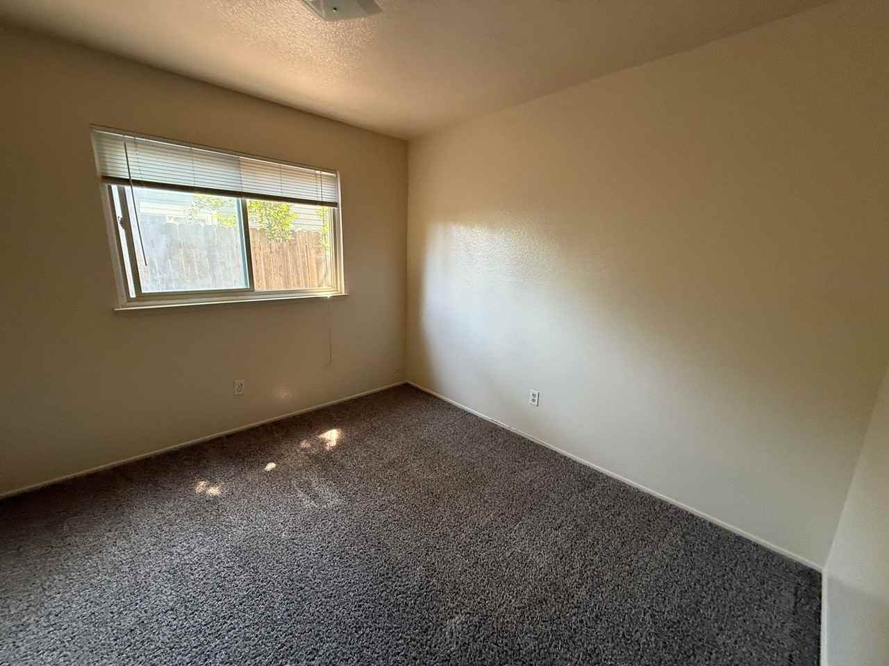 2962 Denise Ct - Photo 6 of 12