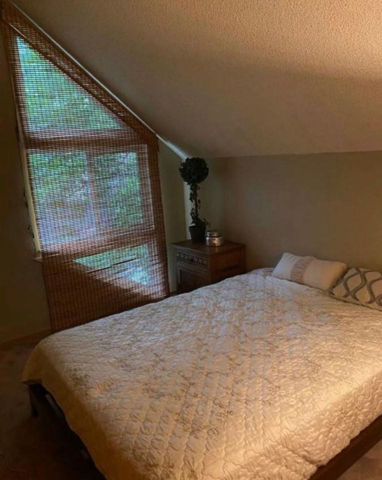 290 Spruce St #B - Photo 7 of 13
