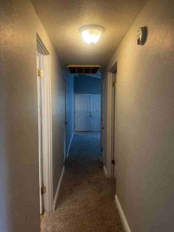 313 S Birchlane Dr - Photo 7 of 11