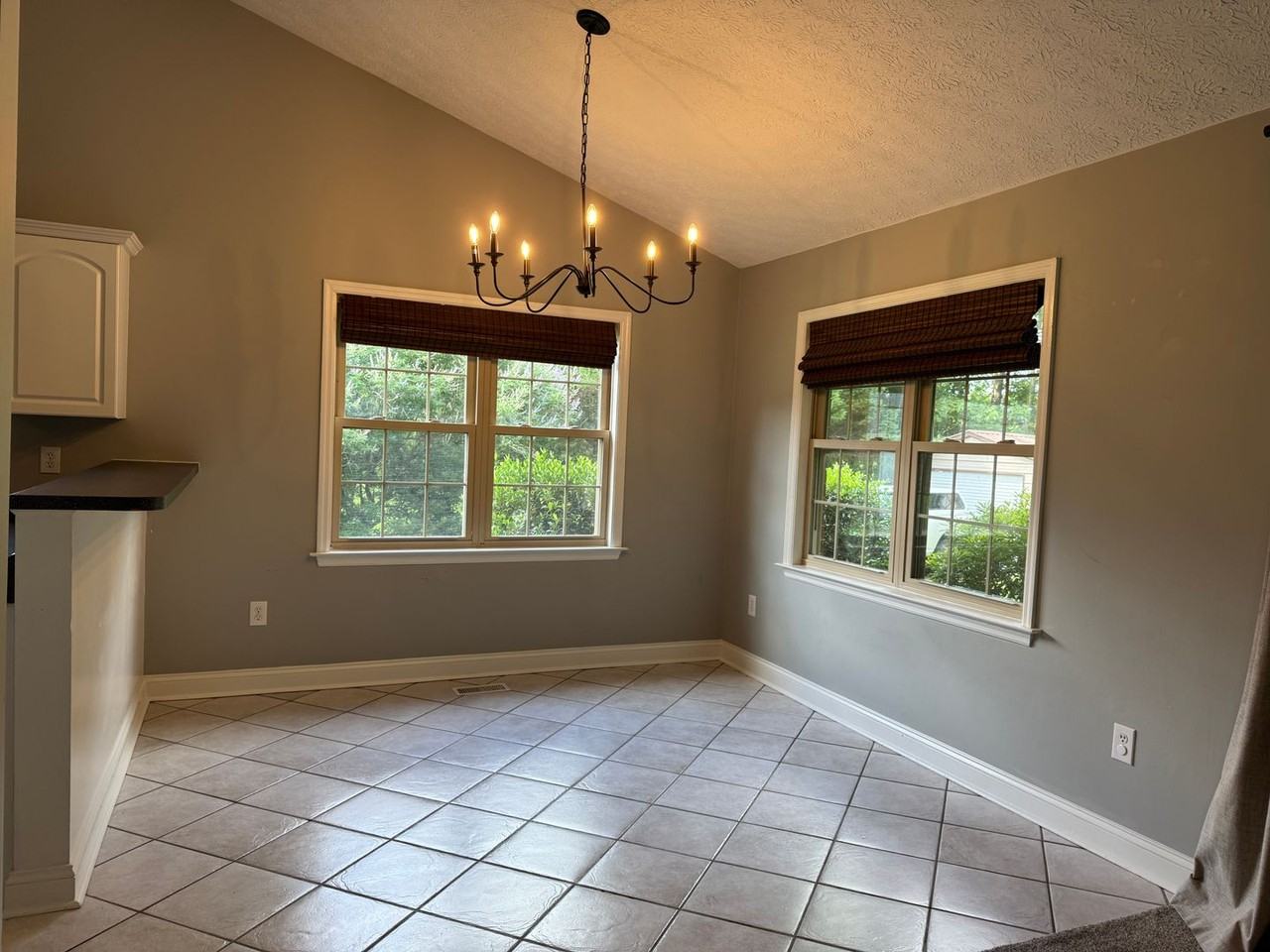 105 Owls Nest Ct - Photo 7 of 29