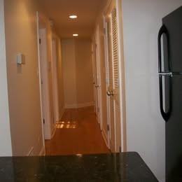 4222 South Indiana Avenue - Photo 5 of 13