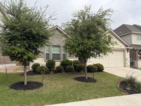 1541 Harrongton Way #NA - Photo 1 of 1
