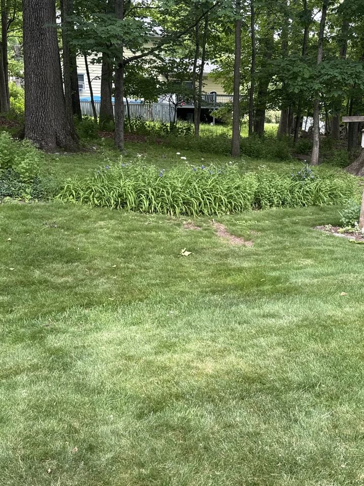 214 Eagle Rd #NA - Photo 2 of 20
