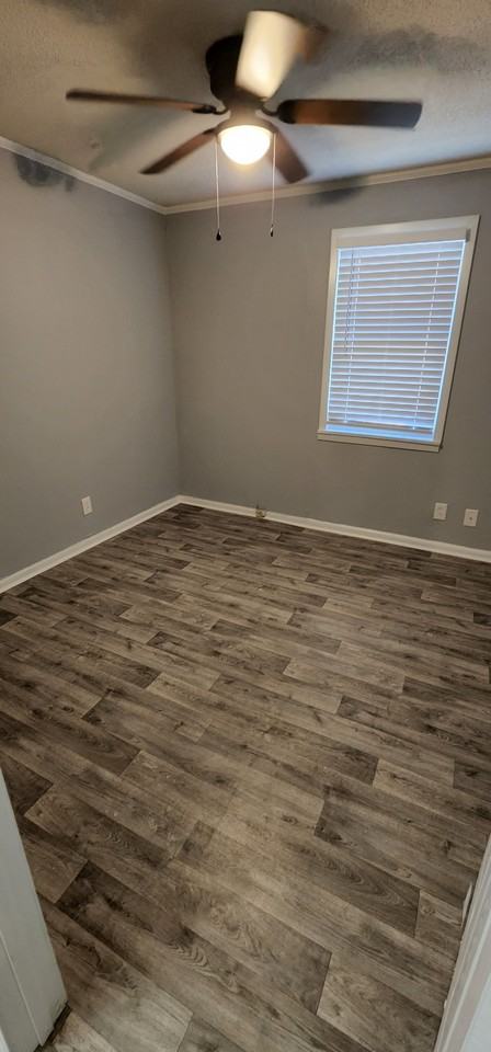 4208 Owl St #NA - Photo 4 of 10