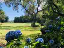 844 Fairway Lakes Dr #NA - Photo 1 of 1