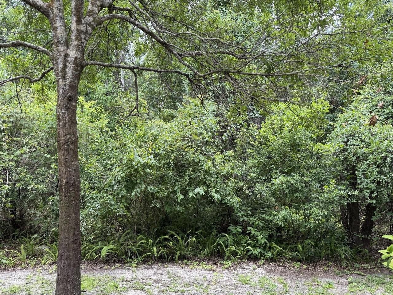 9410 Charlesberg Dr - Photo 6 of 14