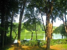 155 Shear Hill Rd - Photo 1 of 1