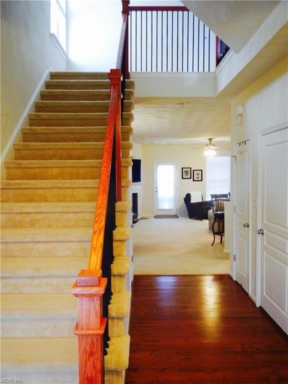 3409 Five Gait Trl - Photo 6 of 31