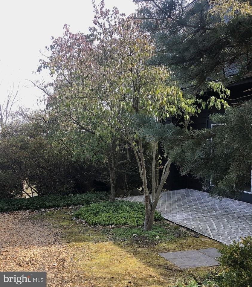 8376 Meadows Rd - Photo 4 of 14
