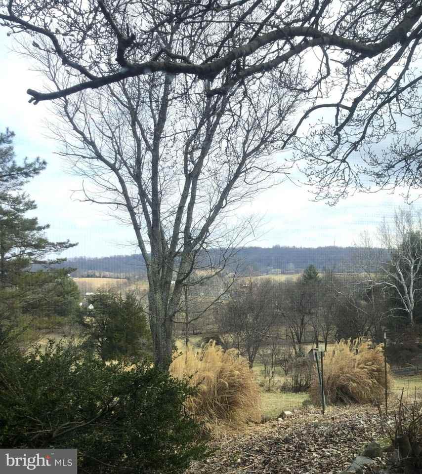 8376 Meadows Rd - Photo 5 of 14