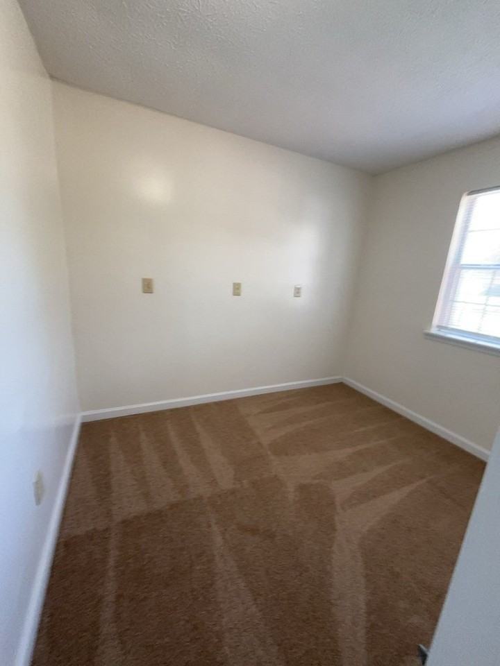 790 Bybee Branch Rd - Photo 6 of 16