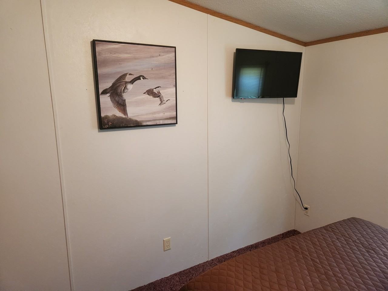 26598 Tri County Fairground Rd - Photo 7 of 25