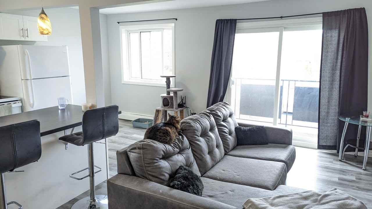 34 Carleton Street S - Photo 5 of 21