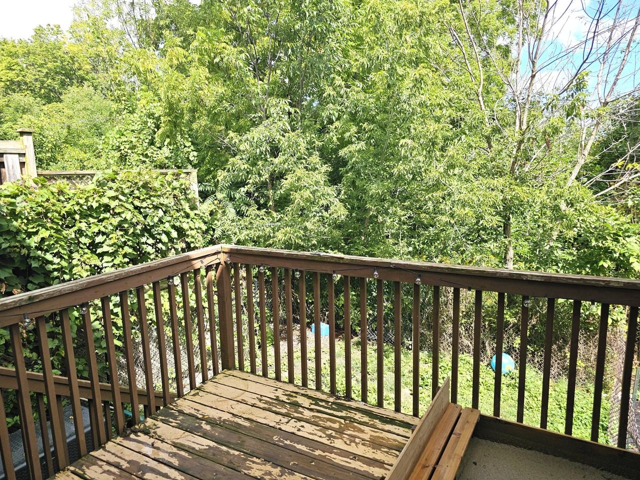 46 Chloe St - Photo 3 of 17