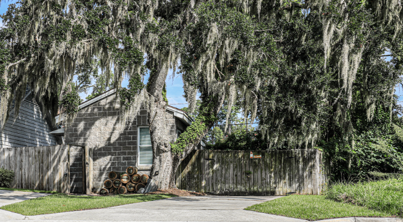 102 Neva Ave #A - Photo 4 of 50
