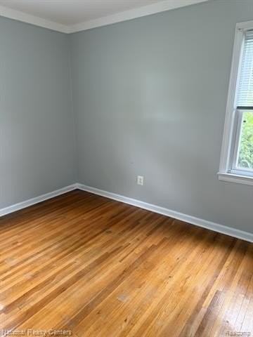 20728 Carlysle St - Photo 7 of 11