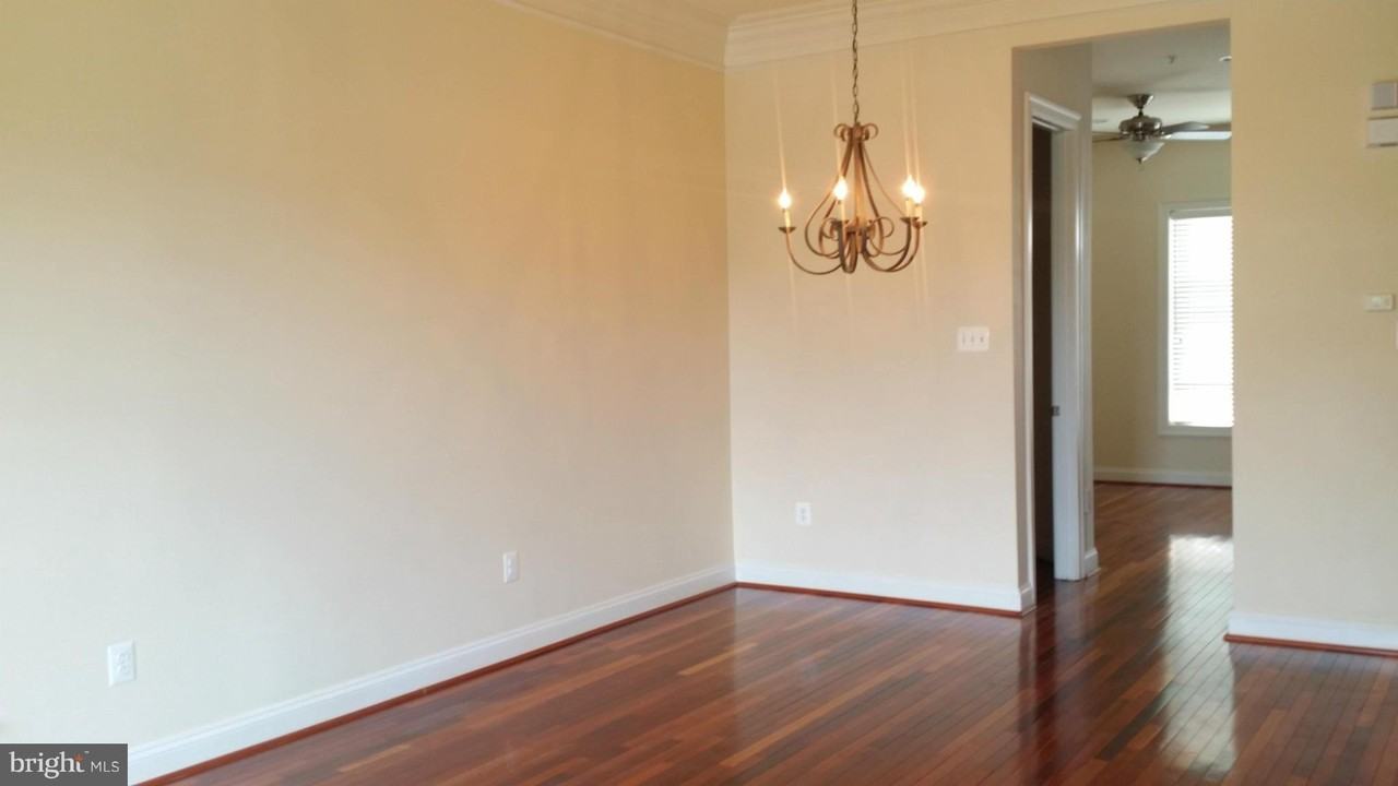 557 Cedar Spring St - Photo 5 of 20