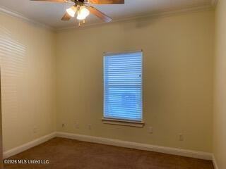 1334 Tropical Cv - Photo 6 of 20