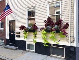 8 Wall St #1 - Photo 1 of 1
