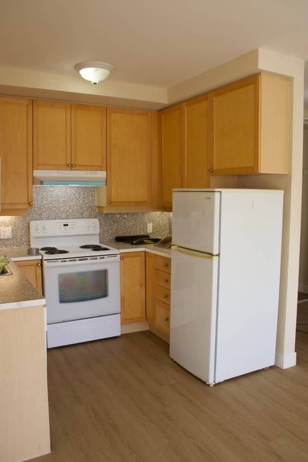 5550 Cambie St - Photo 3 of 4