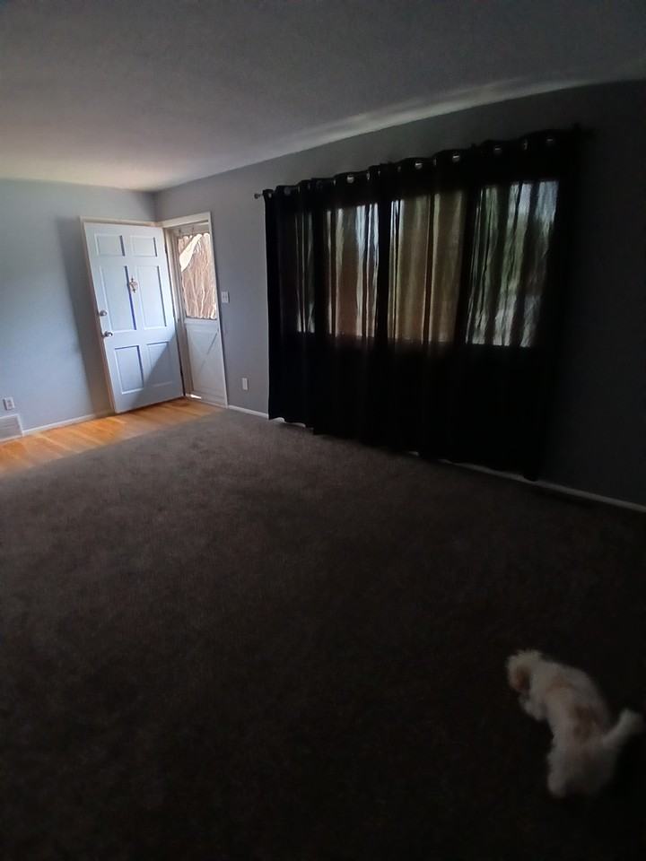 4503 Montebello Dr - Photo 5 of 11